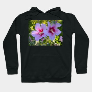 Hibiscus Hoodie